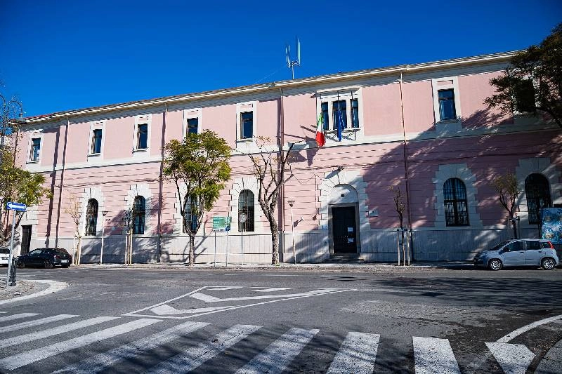 Sei nuove Jacaranda nel viale Buoncammino a Cagliari