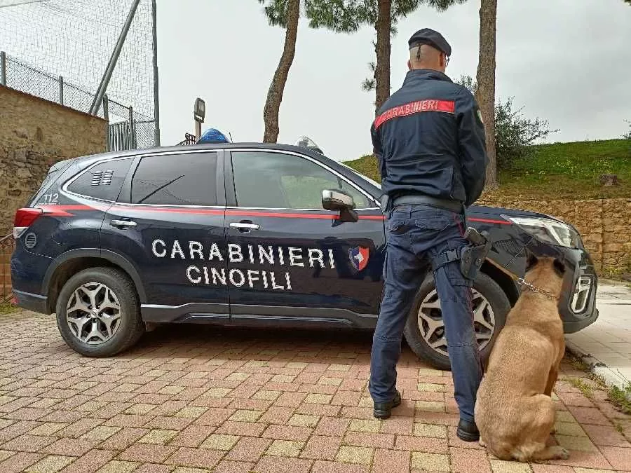 Palermo: Arrestato 44enne per possesso di armi e fabbricazione di denaro falso