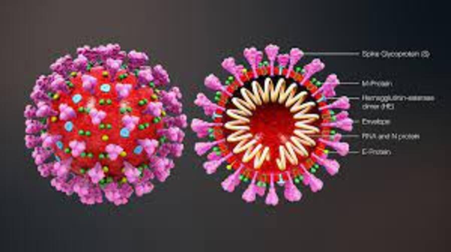 Foto cellula Coronavirus