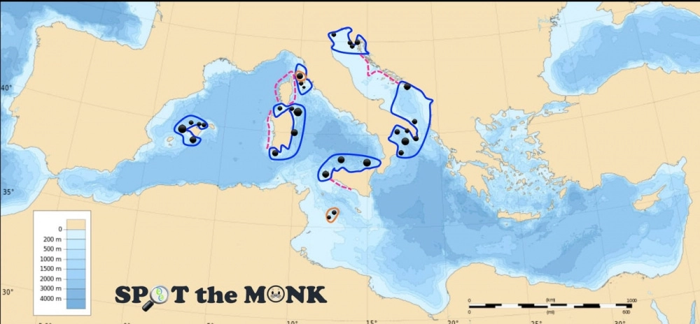 Ridisegnata la mappa di distribuzione della foca monaca dall’Università di Milano-Bicocca