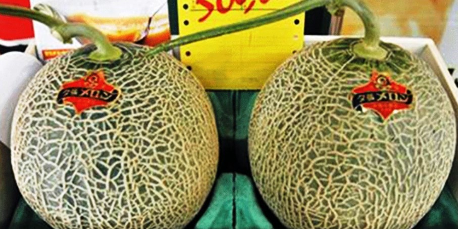 Giappone: due meloni venduti all'asta per oltre 20mila euro!