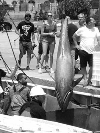 pesca del tonno a portoscuso