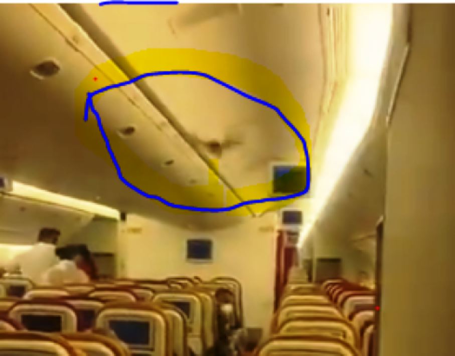 India, paura in volo, spunta un pipistrello a bordo: panico tra i passeggeri. Aereo torna all'aeroporto di partenza