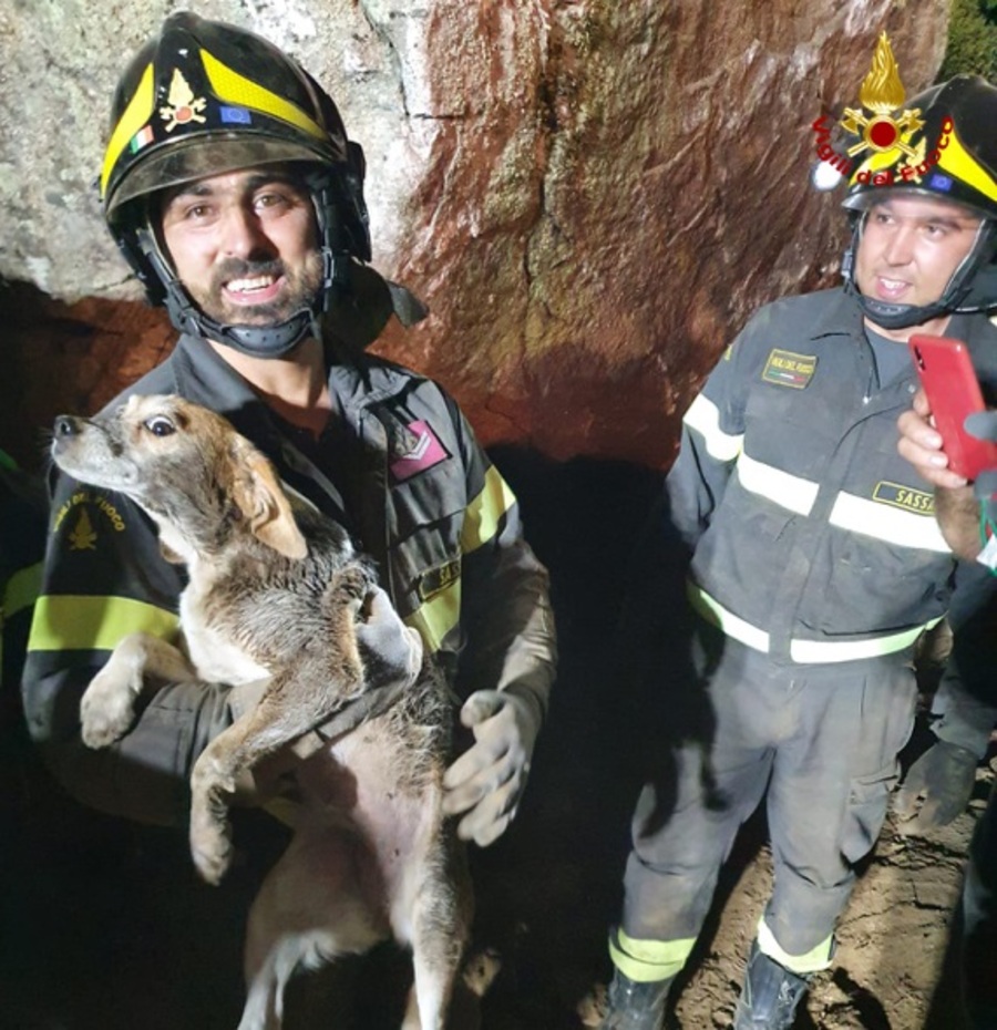 Bono (SS ) i Vigili dei fuoco salvano un cane intrappolato in un cunicolo sotto un enorme masso di pietra. IL VIDEO