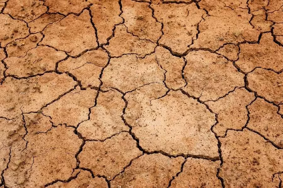 Muravera proclama Stato di calamità per grave siccità