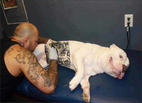 tatuagio animali