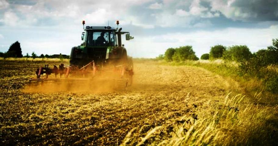 Agricoltura, alla Sardegna 820 milioni di euro per il PSR del quinquennio 2023-2027
