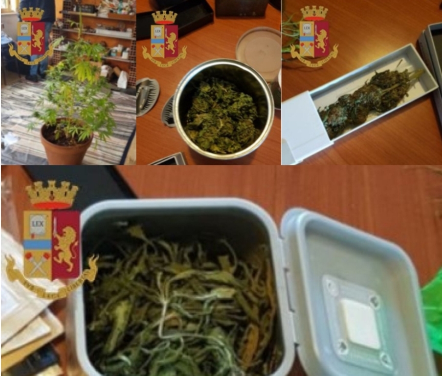 immagine marijuana sequestrata arresto tocco iglesias villamassargia