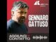 Gennaro Gattuso un Ringhio per la Nazionale