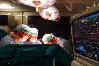 Reni di maiale impiantati in uomo, mix farmaci noti può evitare rigetto