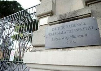 Virus Marburg e allerta Oms guardia alta allo Spallanzani programma misure per alto isolamento