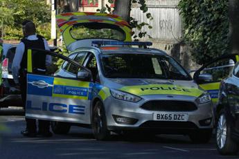 Auto contro i cancelli di Buckingham Palace, un arresto