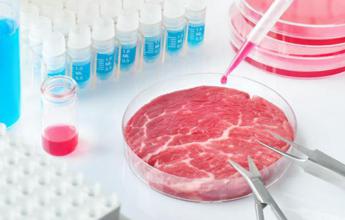 Carne sintetica in Parlamento? In attesa della legge, c’è chi dice (già) no