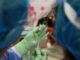 Farmaceutica Gsk In Italia 800 milioni investiti nel 2020 2025 il 59 in vaccini