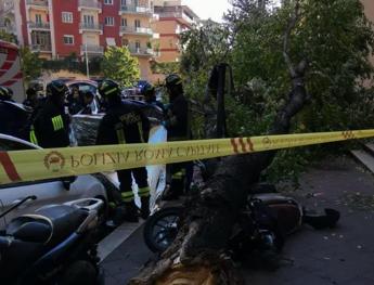 Forte vento su Roma, cade albero a Monteverde: morta una donna