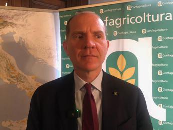 Sostenibilità, Giansanti (Confagricoltura): “Agricoltura protagonista concetto capitale naturale”