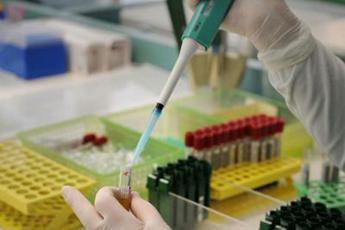 Tumore pancreas, così il cancro sopravvive e cresce: lo studio