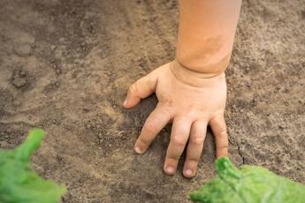 Giornata mondiale del suolo: un appello per la salute della terra
