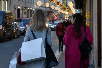 Natale consumi in ripresa. Meloni Nessun colosso web potra sostituire negozi vicinato