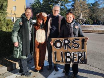 Rinviata udienza del Tar sulla sorte degli orsi Jj4 e Mj5, attivisti: “Pronti a dare battaglia”