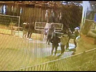 atti di vandalismo a cagliari transenne gettate in mare al porto di cagliari