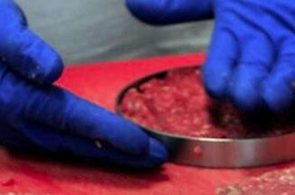 Coldiretti, c'è maggioranza qualificata in Ue su stop carne coltivata 3 Coldiretti ce maggioranza qualificata in Ue su stop carne coltivata