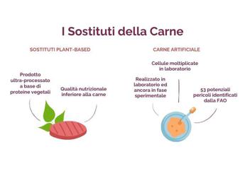 Sostituti della carne: fanno davvero bene? Gli esperti svelano i falsi miti nel nuovo dossier Nutrimi