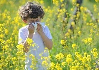 Allarme allergologi pediatri con boom di pollini e muffe 30 malattie