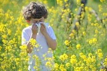 Allarme allergologi pediatri, ‘con boom di pollini e muffe +30% malattie’