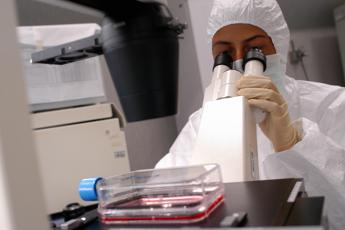 ‘Forbici molecolari’ per curare rara immunodeficienza, primi dati positivi