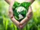 Ecoansia un italiano su due previene lo spreco per aiutare il Pianeta