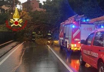 Maltempo in Liguria, cadono alberi e massi sull’Aurelia: strada chiusa in due tratti