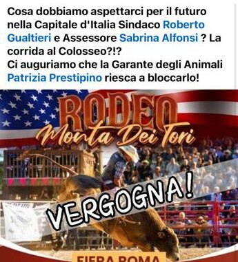 Rodeo e monta tori a Roma, indignazione cittadini, Prestipino scrive al Sindaco