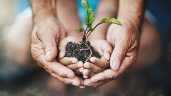 La tutela penale dell’ambiente: l’analisi del formante legislativo tra normativa interna e comunitaria 1 file FrdJYD