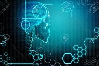 Cosi il cervello ci comanda per bere e camminare lo studio
