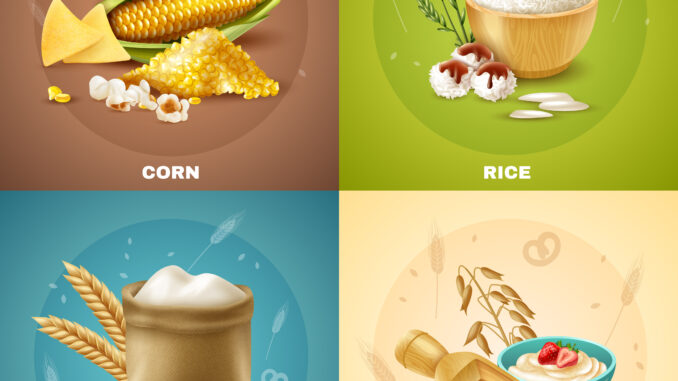 Cereals Design Concept