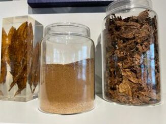 La rivincita dello 'snus', orgoglio svedese che ha fatto calare consumo sigarette ma resta fuori dall'Ue 4 La rivincita dello snus orgoglio svedese che ha fatto calare consumo sigarette ma resta fuori dallUe