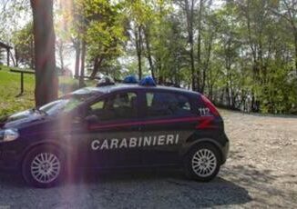 Varese trovato cadavere in un bosco a Luino nessuna pista esclusa