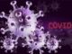 Covid in Italia primo caso di variante Nimbus