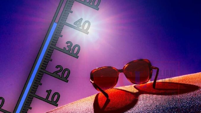 caldo temperature