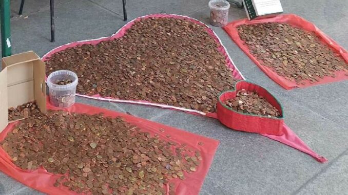7389_Raccolta_monetine_2-1 Raccolta Monetine per Defibrillatori a Busto Garolfo: Raddoppiato l’Obiettivo grazie alla Solidarietà della Comunità