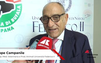 Agroalimentare, Campanile (Università Federico II): “Latte bufala ricco di proprietà nutraceutiche”