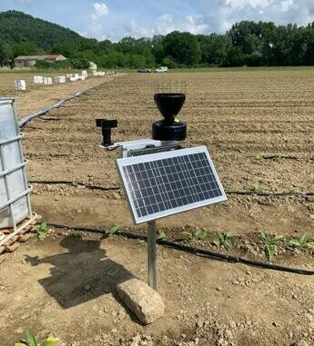 Bat Italia lancia Weplant, Ia e innovazione al servizio di una agricoltura sostenibile
