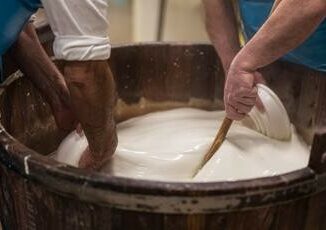 Napoli capitale della mozzarella di bufala con il 1° congresso internazionale