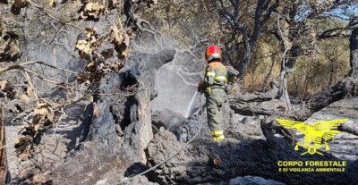 incendi in sardegna Inceendi in Sardegna