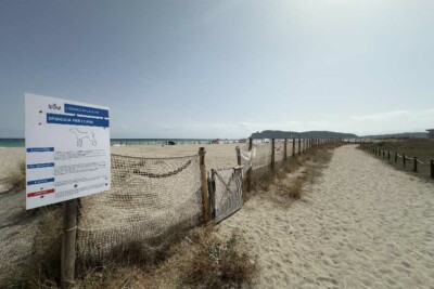 spiaggia per cani al poetto spiaggia per cani al poetto