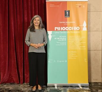Disabili, Scattoni (Iss): "Aspetti sociali poco considerati ma sono fondamentali" 1 Disabili Scattoni Iss Aspetti sociali poco considerati ma sono fondamentali