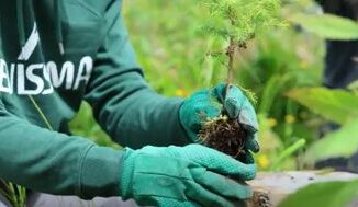 Inaugurata Foresta Levissima progetto di riforestazione in Val di Fiemme