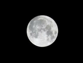 Oggi la Superluna del cacciatore, la più grande e vicina dell'anno: quando e come vederla 3 Oggi la Superluna del cacciatore la piu grande e vicina dellanno quando e come vederla