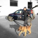 Carabiniere con cane antidroga